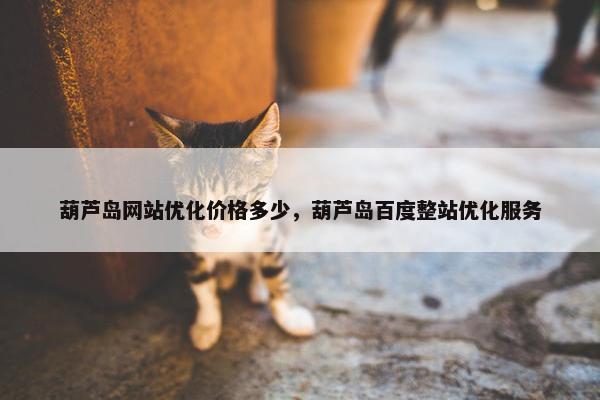 葫芦岛网站优化价格多少，葫芦岛百度整站优化服务