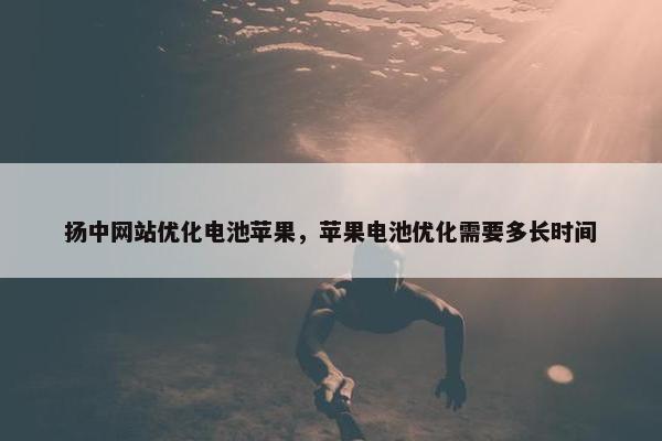 扬中网站优化电池苹果，苹果电池优化需要多长时间