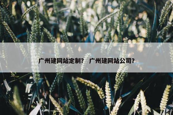 广州建网站定制？ 广州建网站公司？