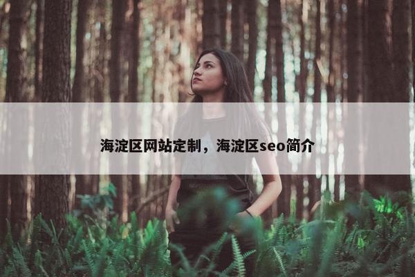 海淀区网站定制，海淀区seo简介