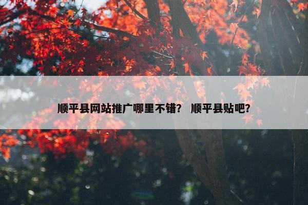 顺平县网站推广哪里不错？ 顺平县贴吧？