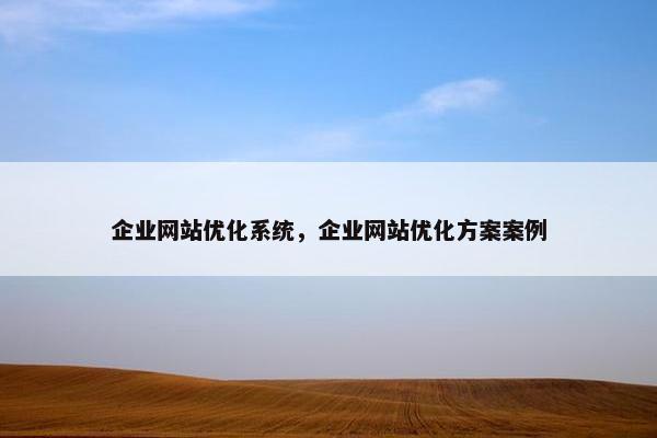 企业网站优化系统，企业网站优化方案案例