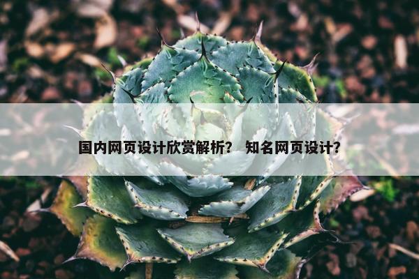 国内网页设计欣赏解析？ 知名网页设计？