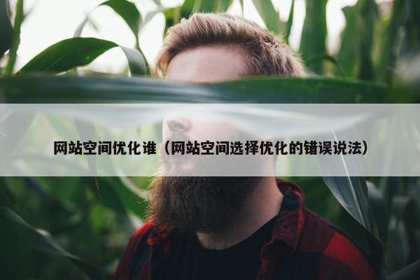 网站空间优化谁（网站空间选择优化的错误说法）