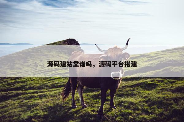 源码建站靠谱吗，源码平台搭建