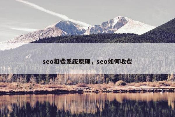 seo扣费系统原理，seo如何收费