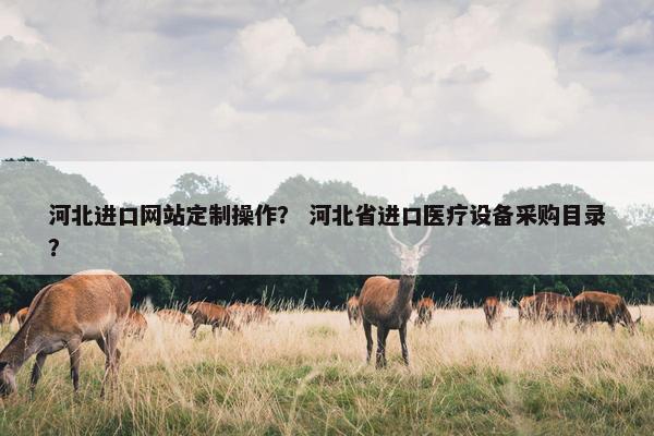 河北进口网站定制操作？ 河北省进口医疗设备采购目录？