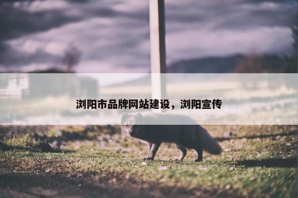 浏阳市品牌网站建设，浏阳宣传
