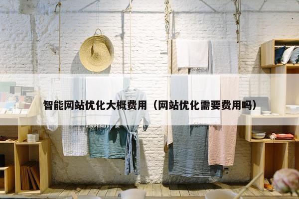 智能网站优化大概费用（网站优化需要费用吗）
