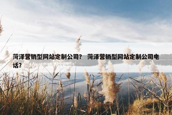 菏泽营销型网站定制公司？ 菏泽营销型网站定制公司电话？