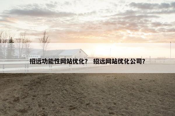 招远功能性网站优化？ 招远网站优化公司？