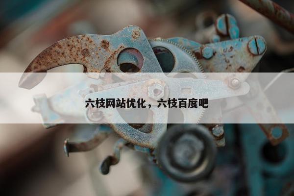 六枝网站优化，六枝百度吧
