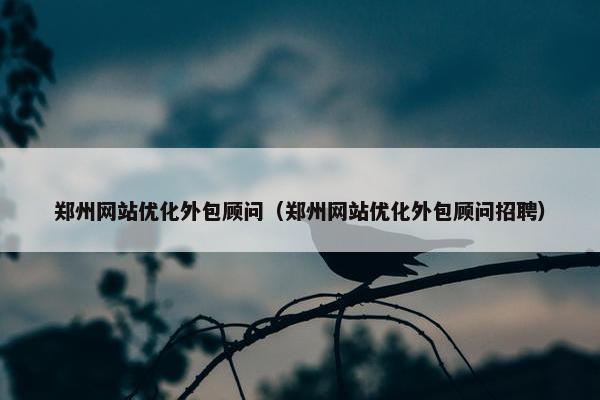 郑州网站优化外包顾问（郑州网站优化外包顾问招聘）
