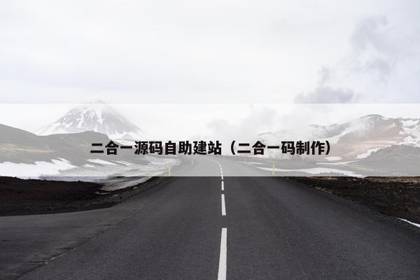 二合一源码自助建站（二合一码制作）
