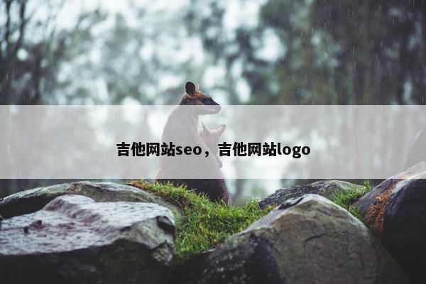 吉他网站seo，吉他网站logo