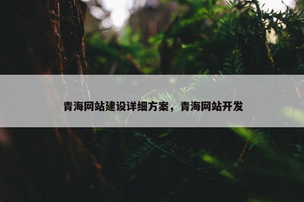 青海网站建设详细方案，青海网站开发
