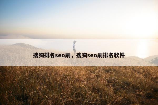 搜狗排名seo刷，搜狗seo刷排名软件