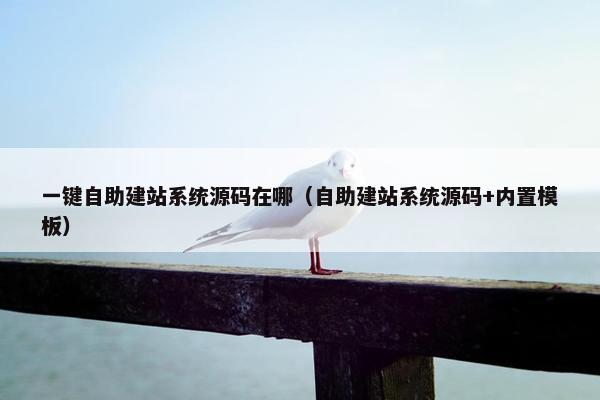 一键自助建站系统源码在哪（自助建站系统源码+内置模板）