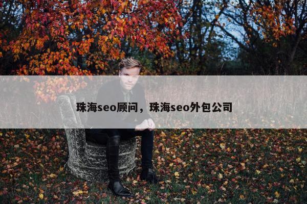 珠海seo顾问，珠海seo外包公司