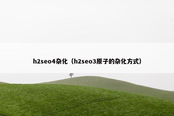 h2seo4杂化（h2seo3原子的杂化方式）
