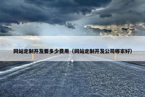 网站定制开发要多少费用（网站定制开发公司哪家好）