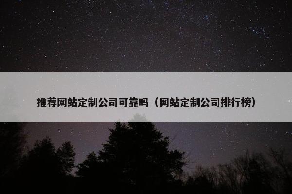 推荐网站定制公司可靠吗（网站定制公司排行榜）