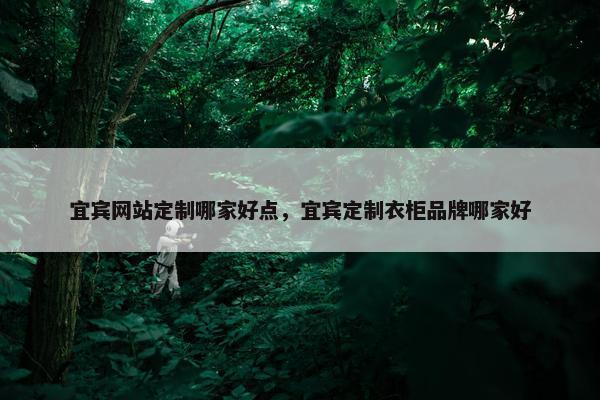 宜宾网站定制哪家好点，宜宾定制衣柜品牌哪家好