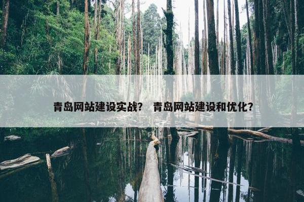 青岛网站建设实战？ 青岛网站建设和优化？