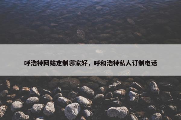 呼浩特网站定制哪家好，呼和浩特私人订制电话