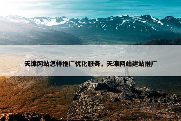 天津网站怎样推广优化服务，天津网站建站推广