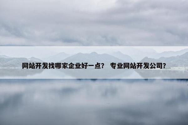网站开发找哪家企业好一点？ 专业网站开发公司？