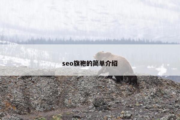 seo旗袍的简单介绍
