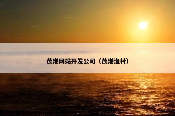 茂港网站开发公司（茂港渔村）