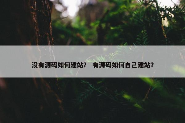 没有源码如何建站？ 有源码如何自己建站？