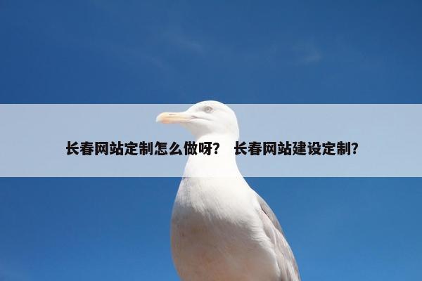 长春网站定制怎么做呀？ 长春网站建设定制？