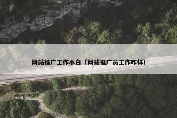 网站推广工作小白（网站推广员工作咋样）