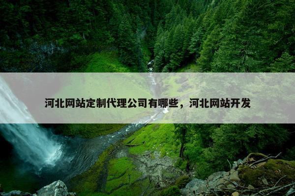 河北网站定制代理公司有哪些，河北网站开发