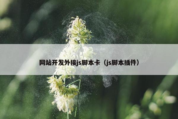 网站开发外接js脚本卡（js脚本插件）