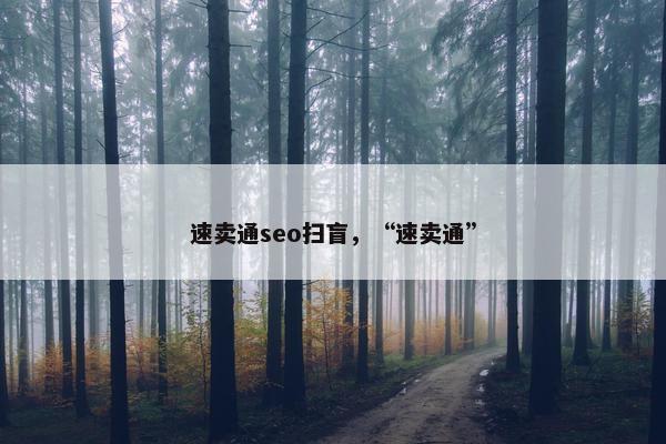 速卖通seo扫盲，“速卖通”