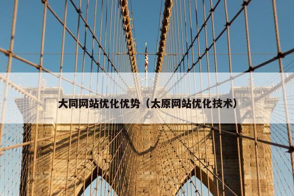 大同网站优化优势（太原网站优化技术）