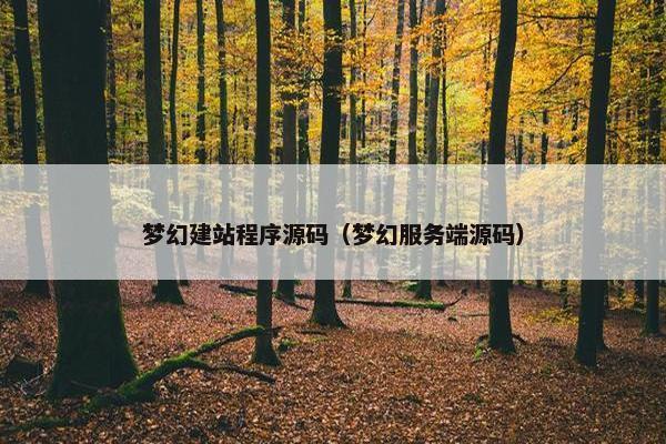梦幻建站程序源码（梦幻服务端源码）