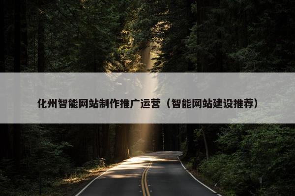 化州智能网站制作推广运营（智能网站建设推荐）