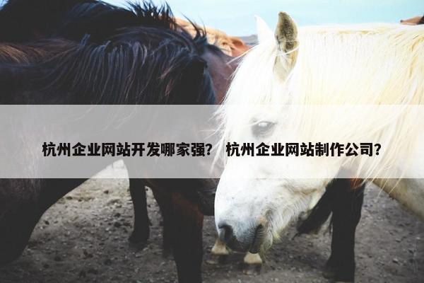 杭州企业网站开发哪家强？ 杭州企业网站制作公司？