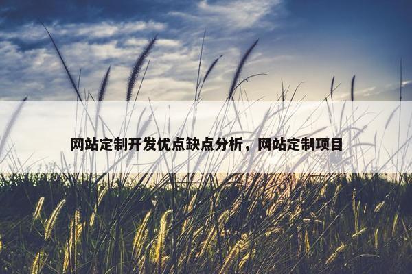 网站定制开发优点缺点分析，网站定制项目