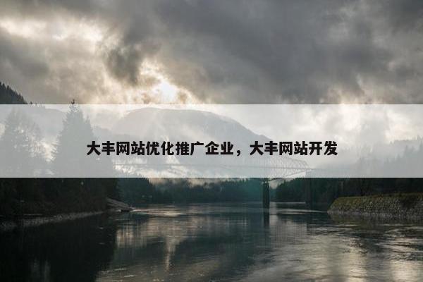 大丰网站优化推广企业，大丰网站开发