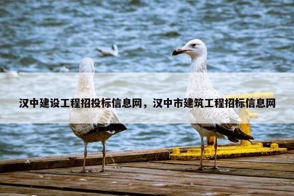 汉中建设工程招投标信息网，汉中市建筑工程招标信息网