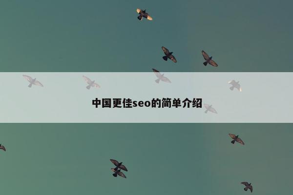 中国更佳seo的简单介绍