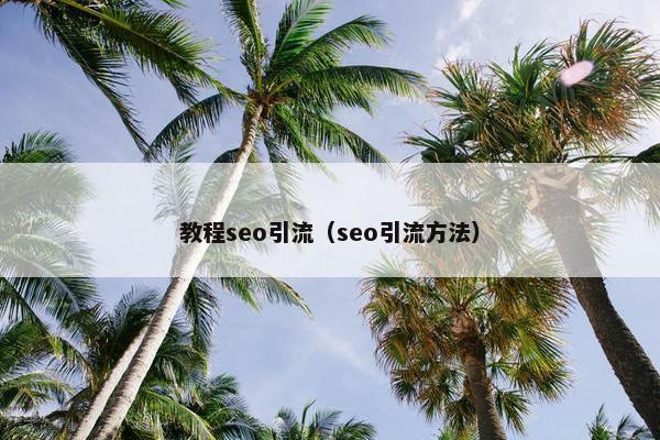 教程seo引流（seo引流方法）