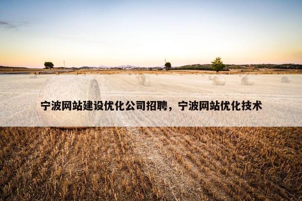 宁波网站建设优化公司招聘，宁波网站优化技术