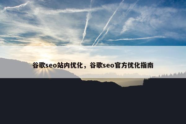 谷歌seo站内优化，谷歌seo官方优化指南